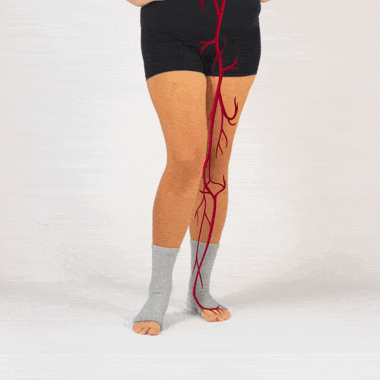 BambooFit Compression Socks - Natural Relief for Painful Feet, Premium Bamboo Fibers